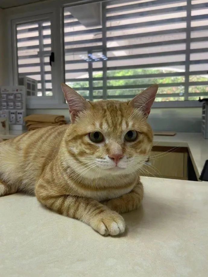 男朋友送6000的礼物,男朋友送了个7000的包分手要还吗