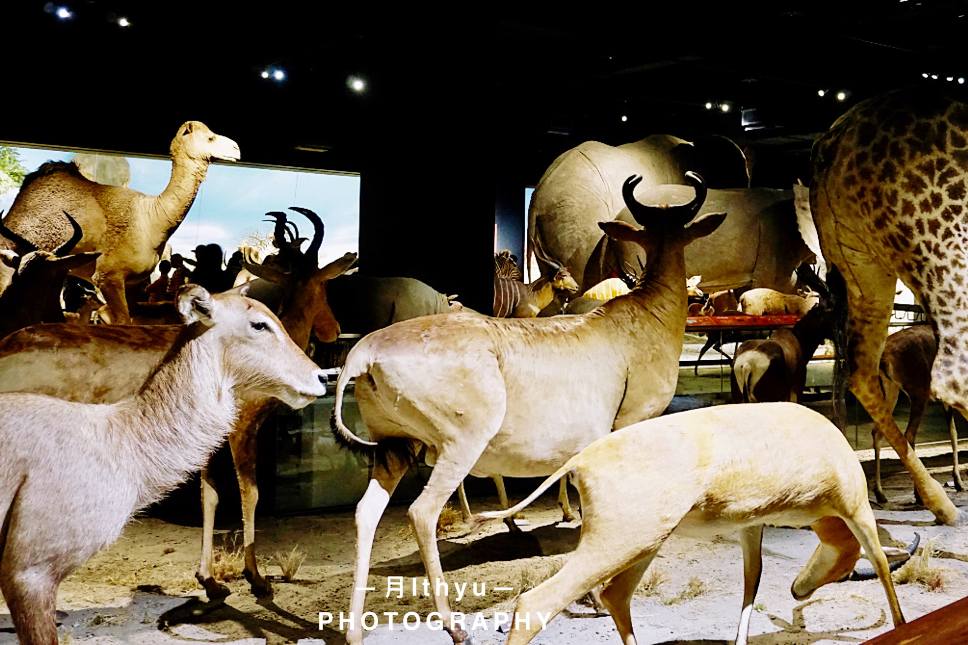 台南是台湾最古老的城市吗,台北和台南哪个地方更亲大陆