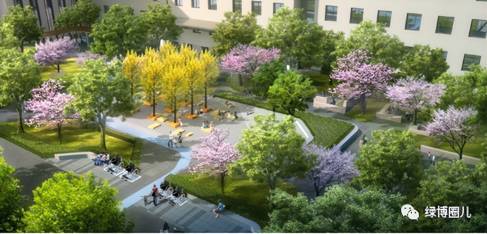 郑大三附院郑州分院,郑大三附院最新消息