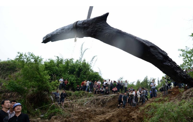 上亿乌木最后归属,江西上亿乌木最后归谁了