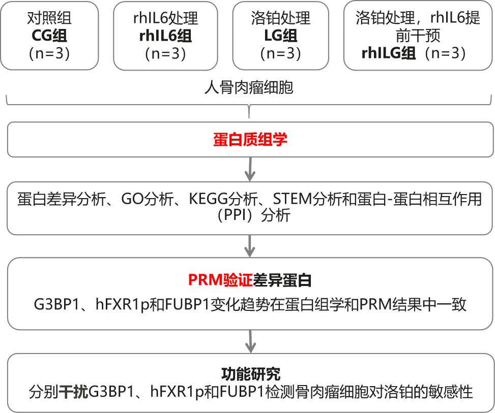 6篇文献一次解锁「高通量靶向蛋白质检测技术PRM」的魅力
