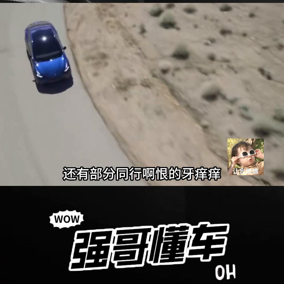 降价多了还被骂？到底谁惯坏了谁？#特斯拉