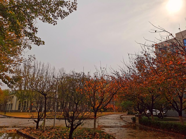 写作的七种方法和技法,熟记十种常见写作手法有哪些