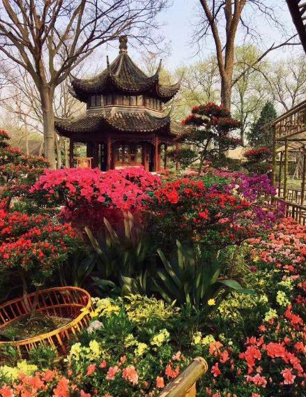 中国最经典的私家园林拙政园,拙政园是江南私家园林的杰出代表