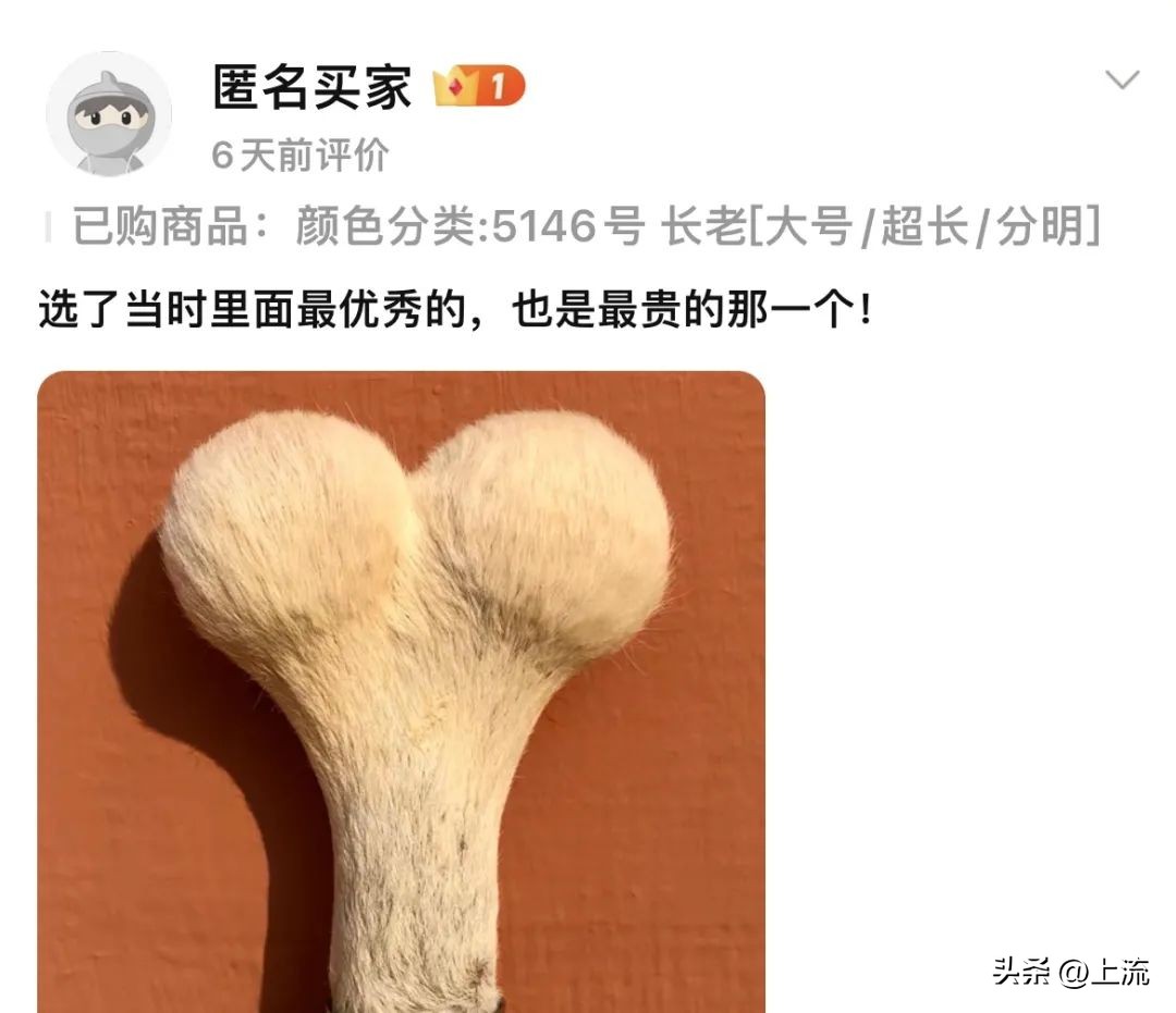 澳洲公袋鼠,袋鼠蛋蛋纪念品