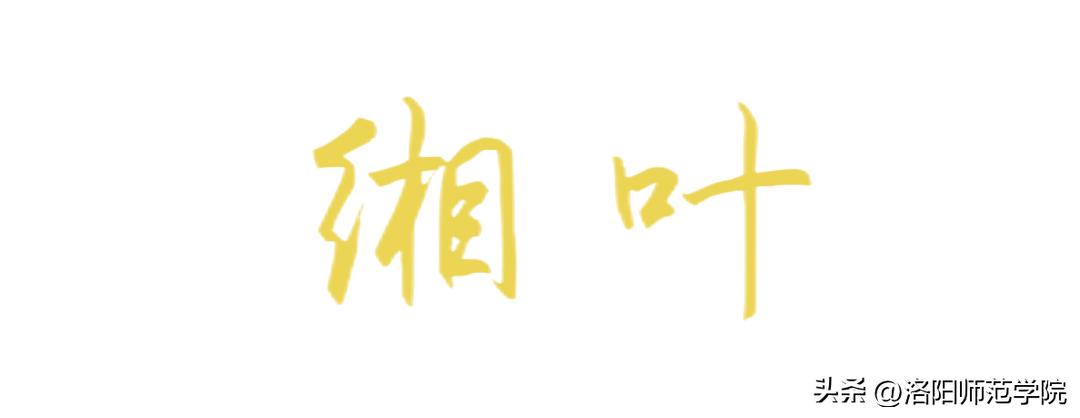 当洛师邂逅43种中国传统色……