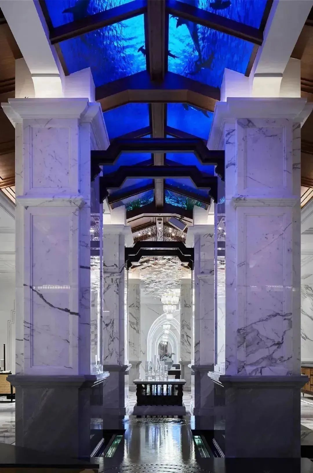 鱼肚白到底好不好,鱼肚白为什么那么火