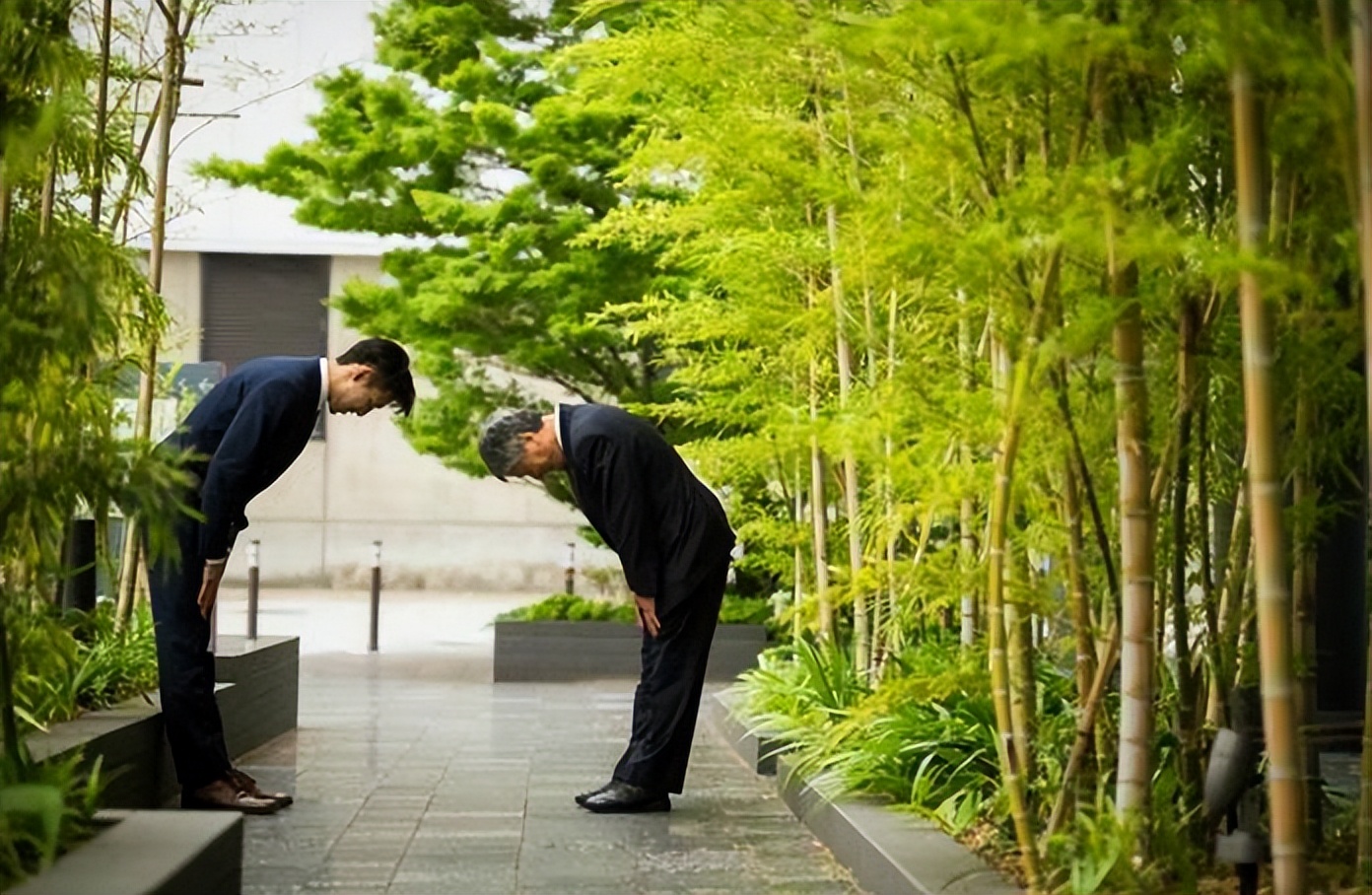 日本不安装暖气，最低气温零下30度怎么生活？看完后算是涨知识了