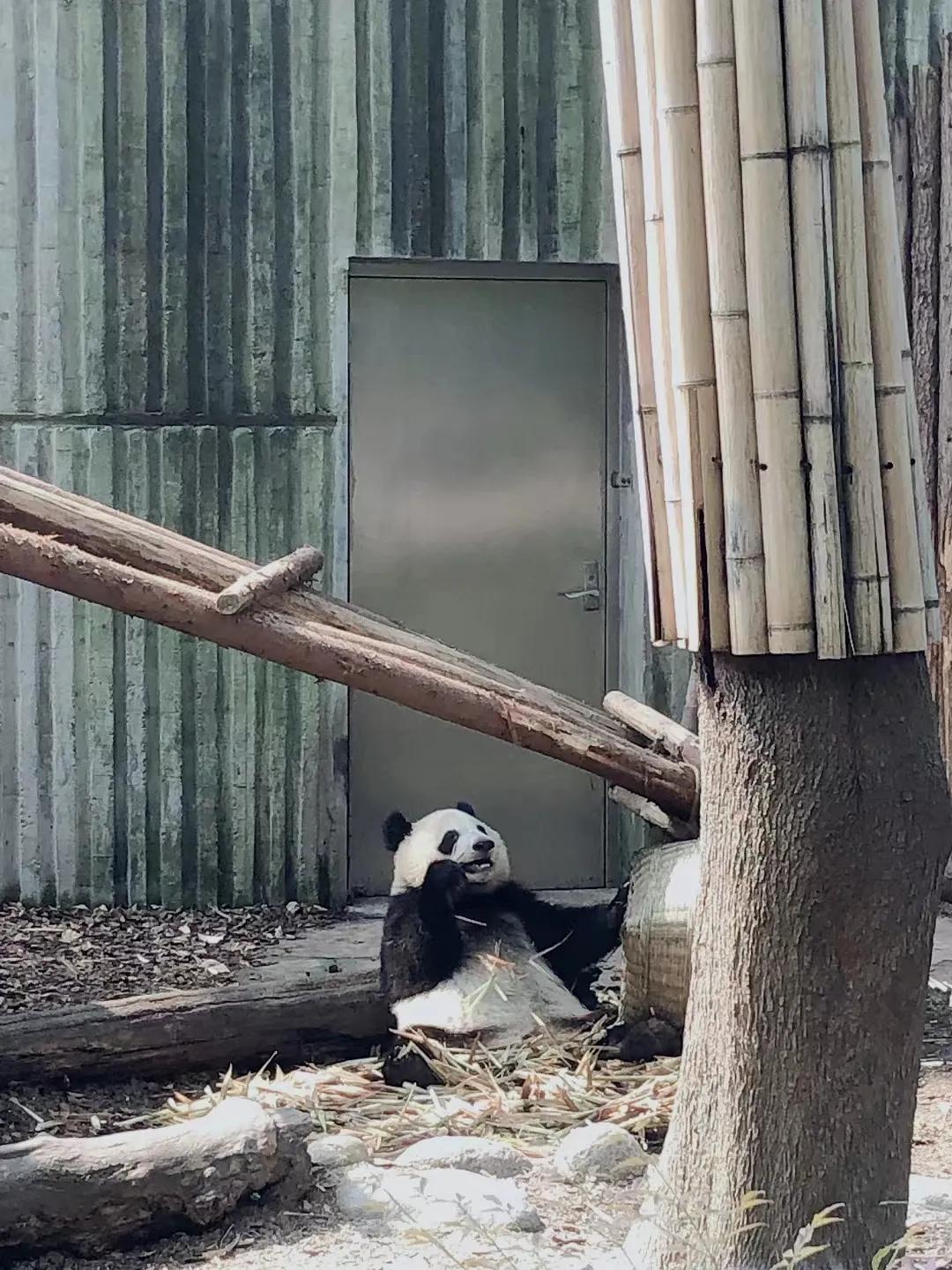 成都印象火锅,成都印象餐饮有限公司
