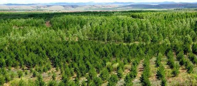 跪地求水事件最新消息,跪地求水事件最新进展