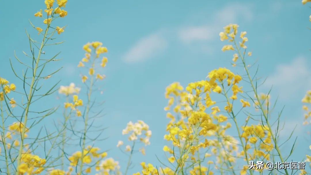 你想知道的hpv知识都在这,hpv不可怕用的方法很重要