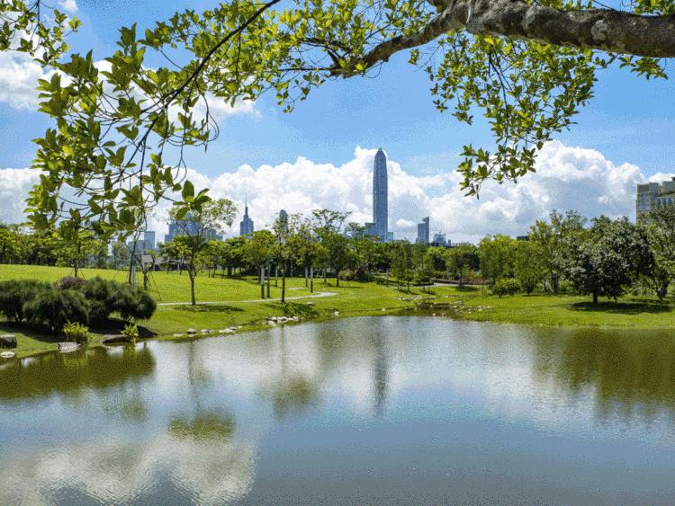 深圳公园的故事｜先锋实践，甜蜜家园——香蜜公园