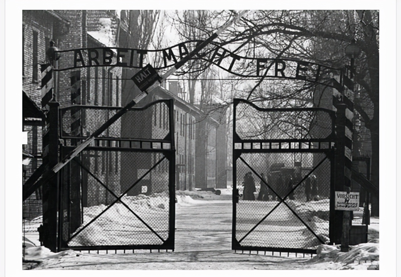 俄罗斯赌咒发誓也要灭掉的班德拉分子是一伙什么人？（四）