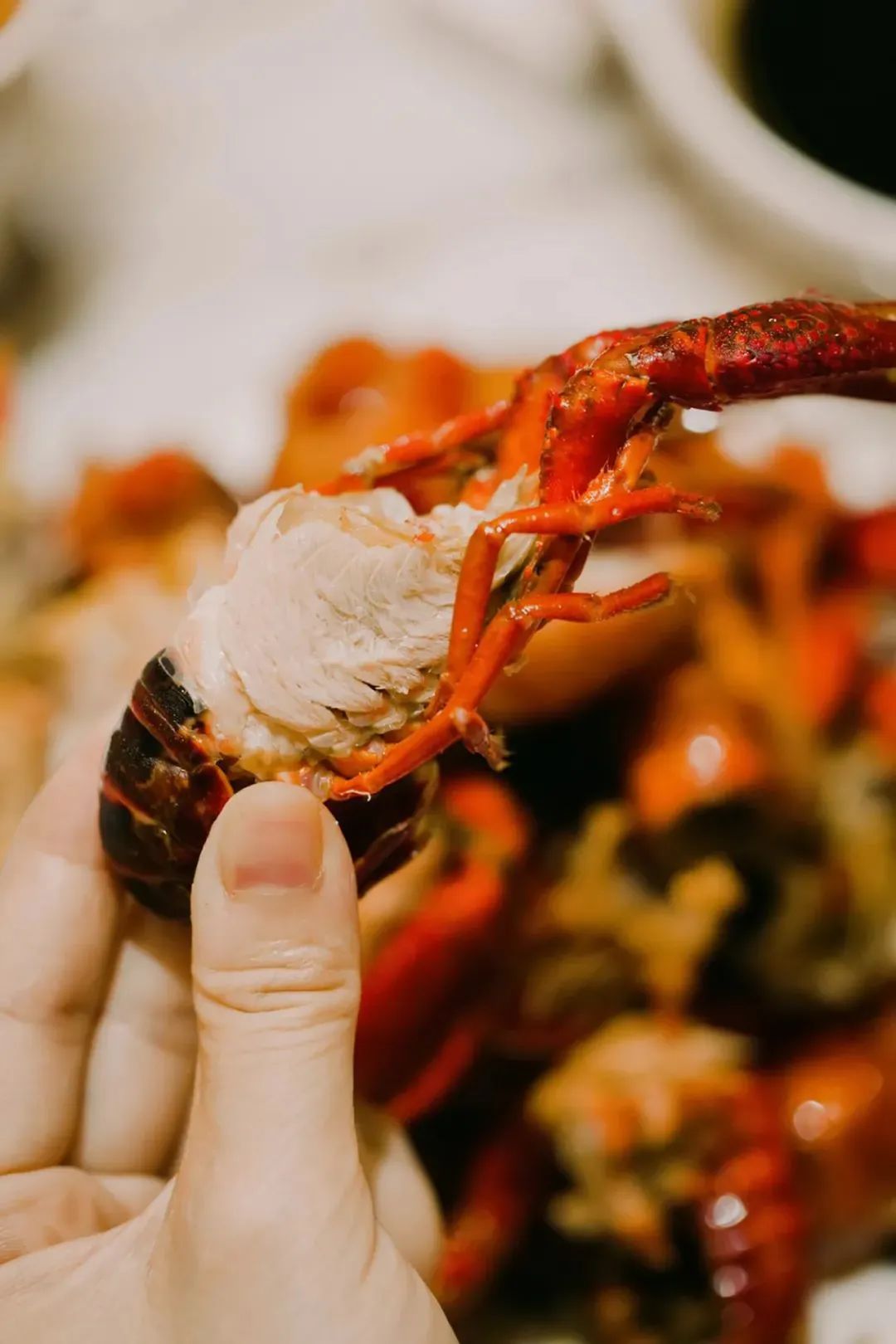 南宁徐霞客出游攻略,徐霞客在广西住了多少年