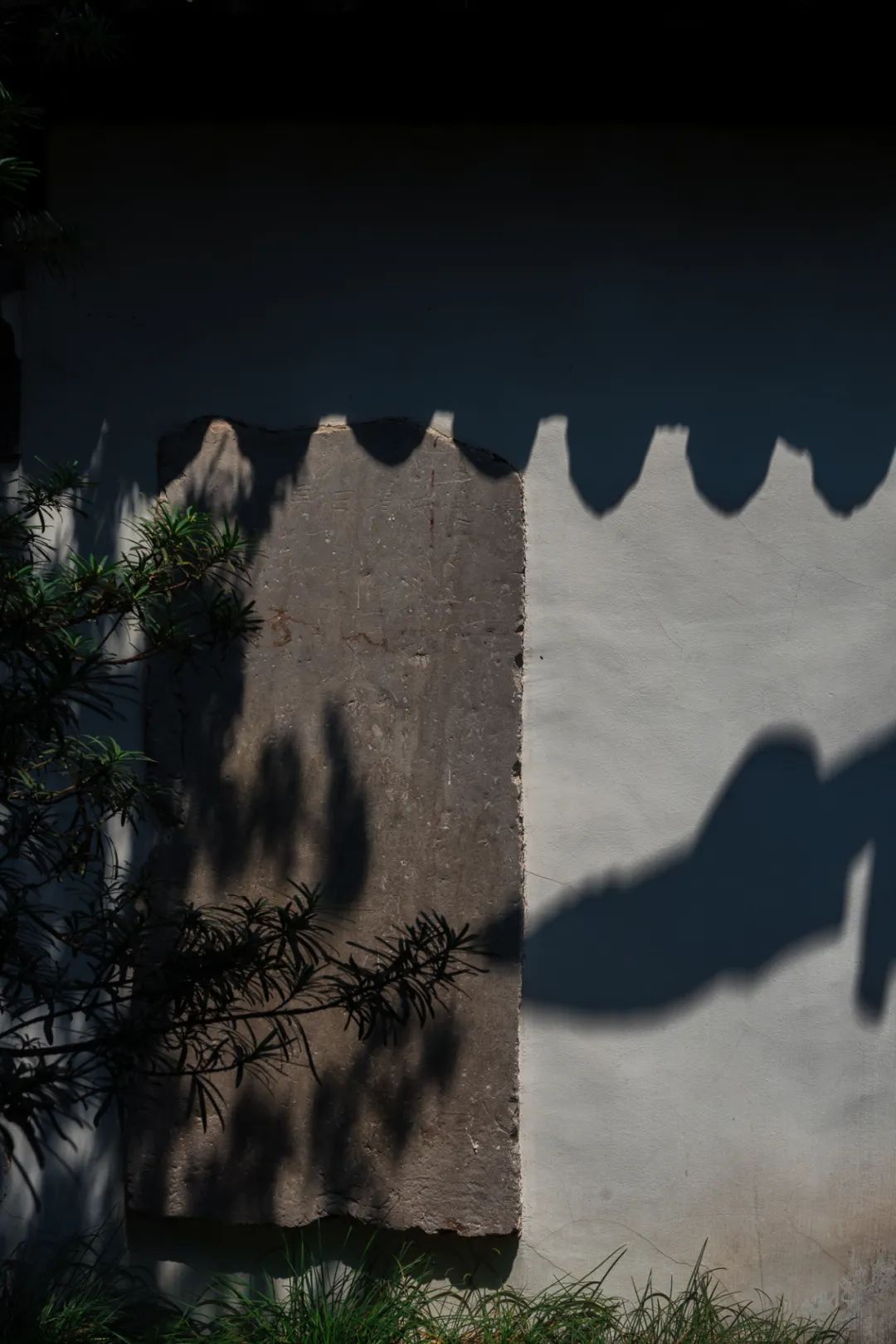 520年一遇，2022上海最浪漫打卡地出炉