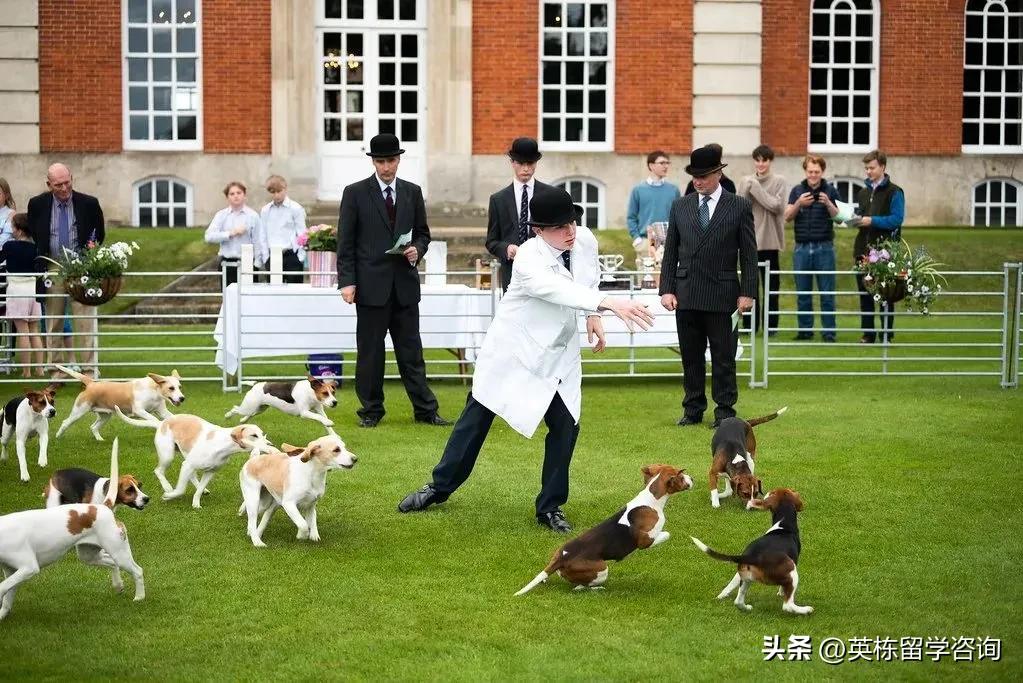 英国radleycollege,英栋