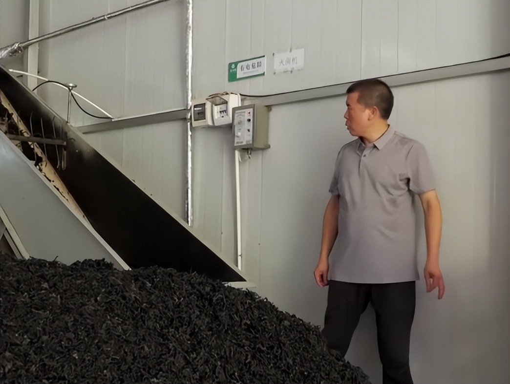 广东老板放弃皮革生意，靠壮阳树年入千万，一张树皮卖上千元