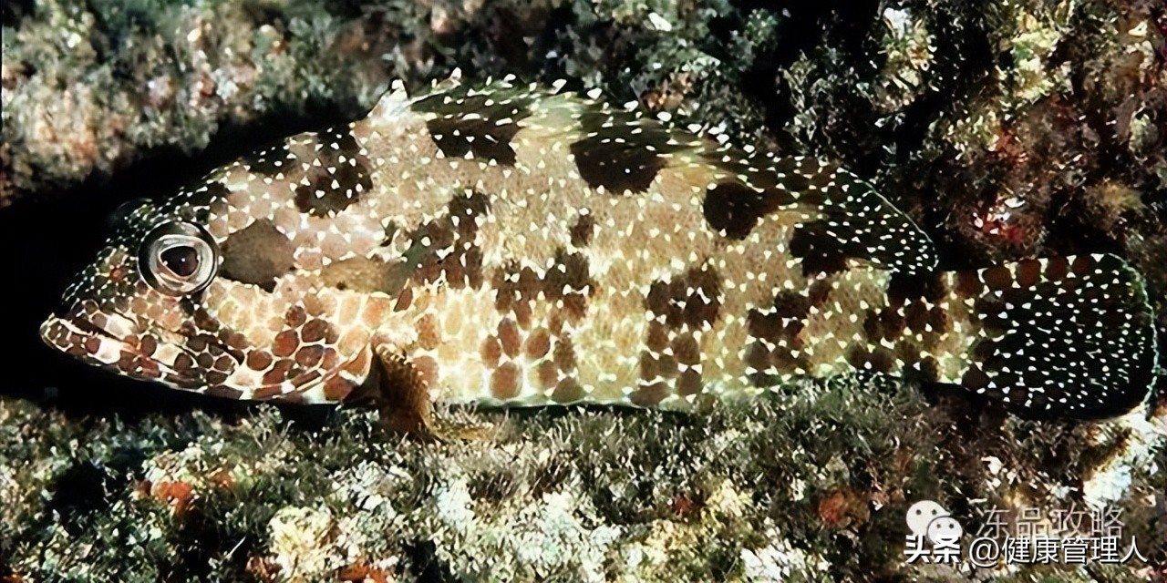 美容护肤食疗方案,美容护肤养生介绍