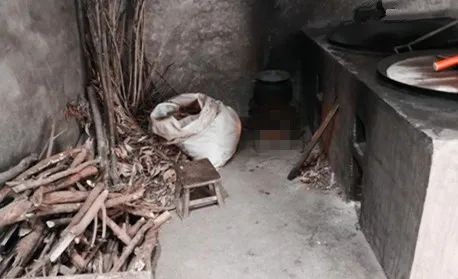 梅花香自苦寒来的上一句是什么,梅花香自苦寒来视频