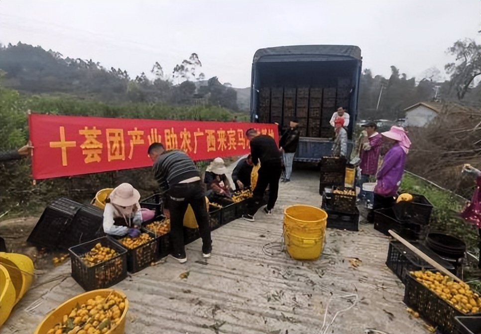 农产品电商发展现状和对策论文,农产品通过电商带来的可行性分析