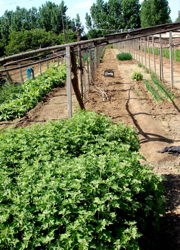 体检·小酌·途中·公园·侄女·其它