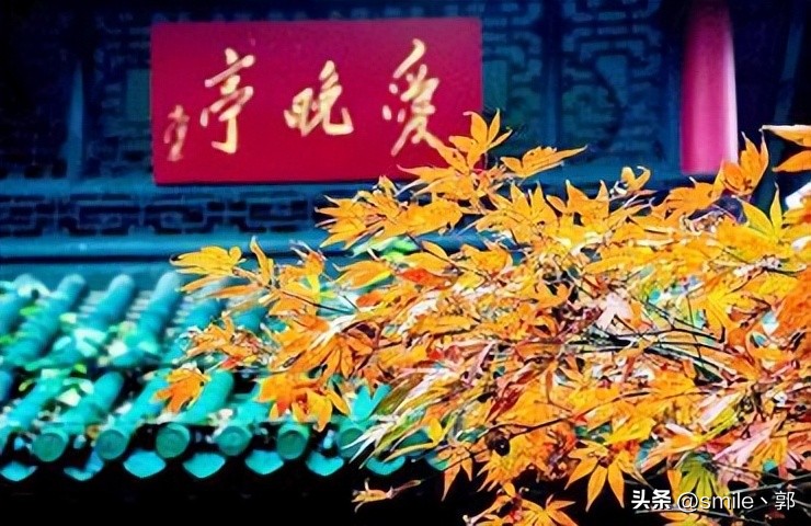 长沙游玩景点推荐亲子游,长沙星城好玩的地方