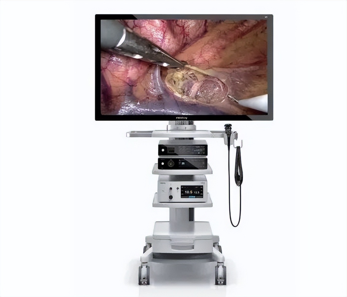 2022医院满意度,医院满意度视频