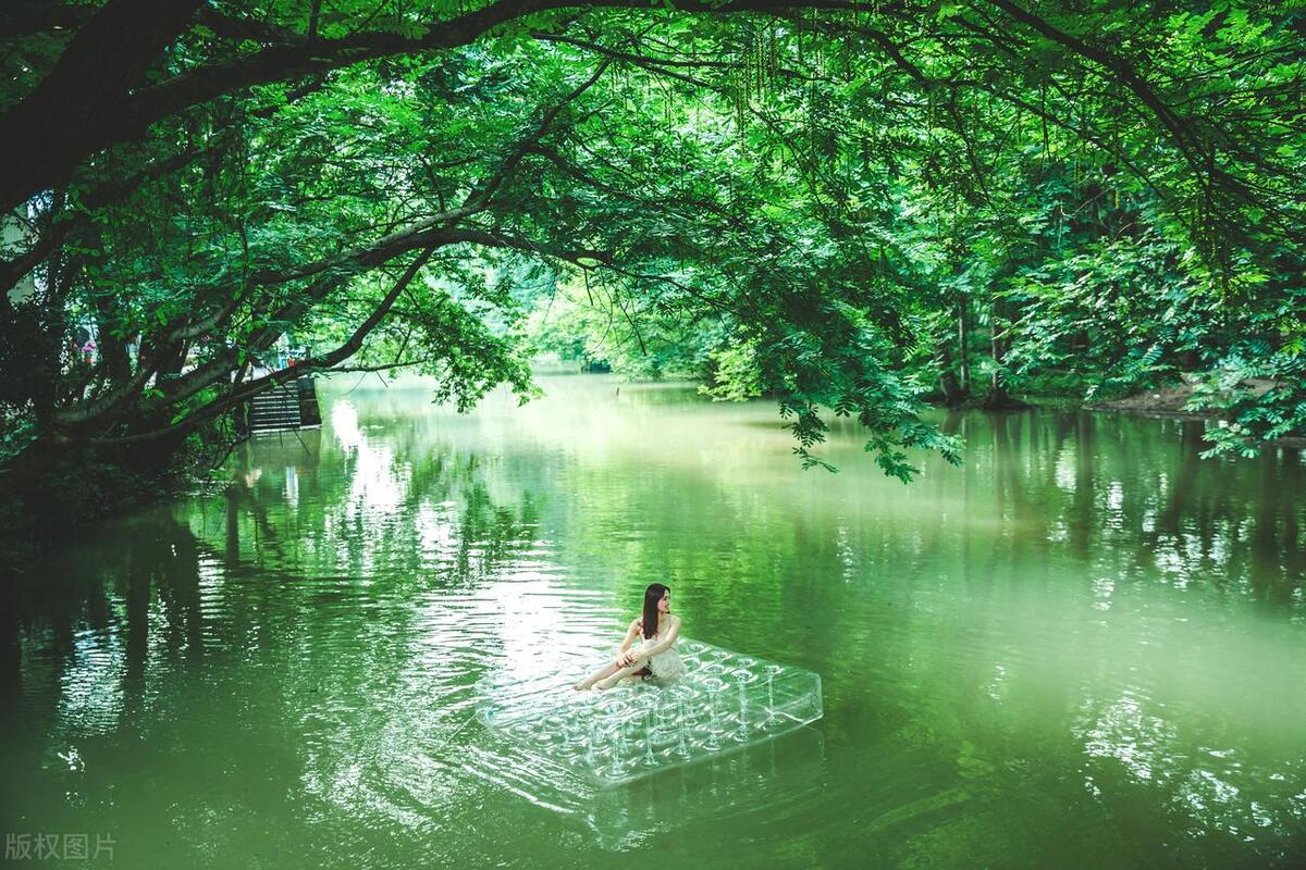 黄山本地人游黄山景区免费吗,安徽人游黄山免门票政策是什么
