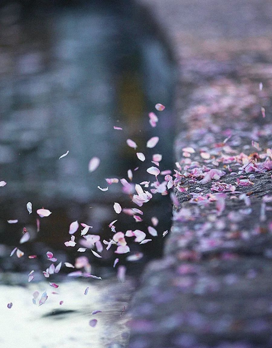 雨水哲理,雨水的好句