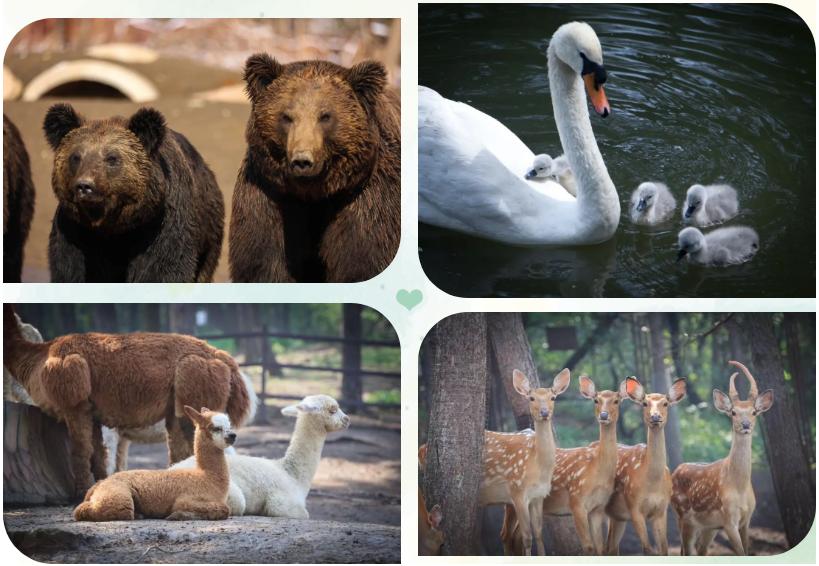 周末去哪玩推荐沈阳,周一游玩沈阳攻略