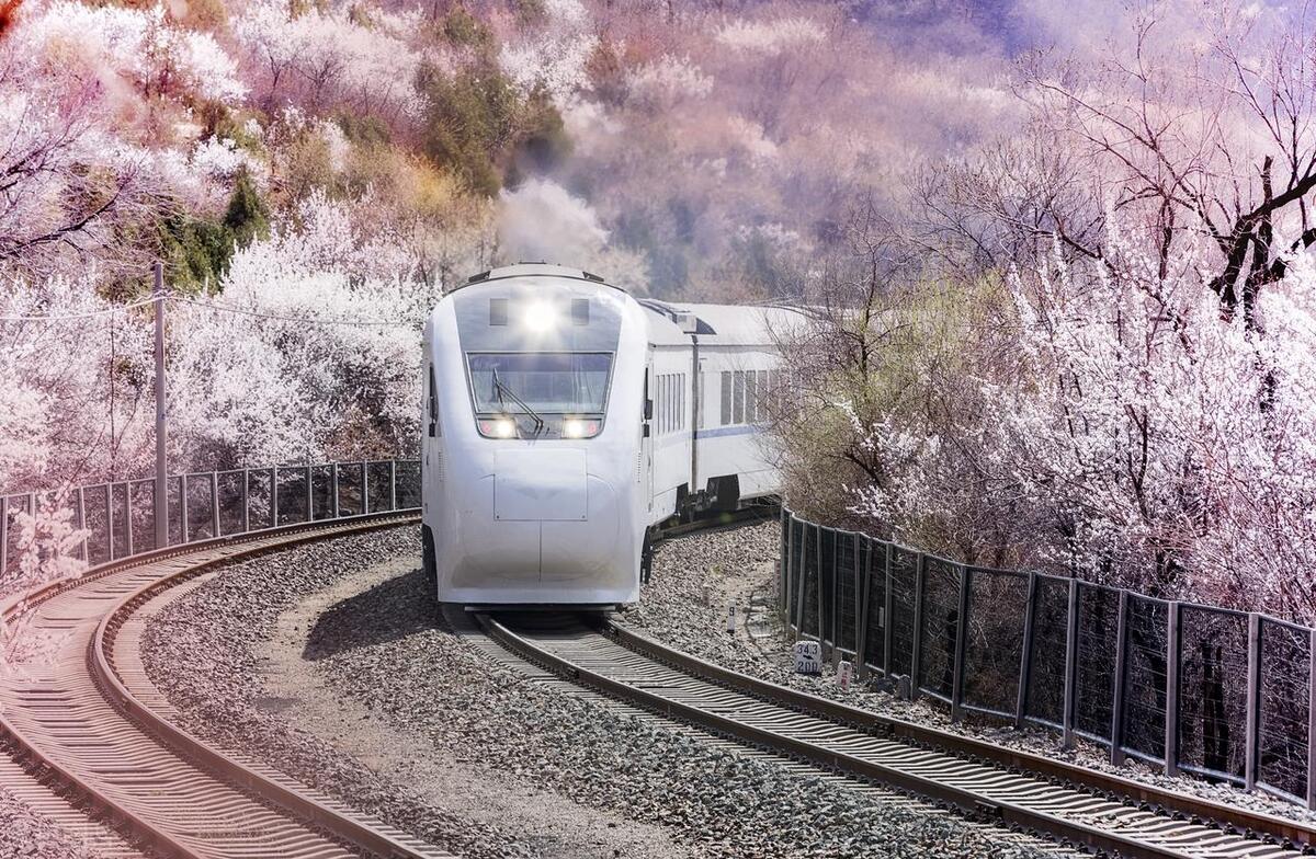 列车员不补票到站再补票可以吗,动车上如何补票