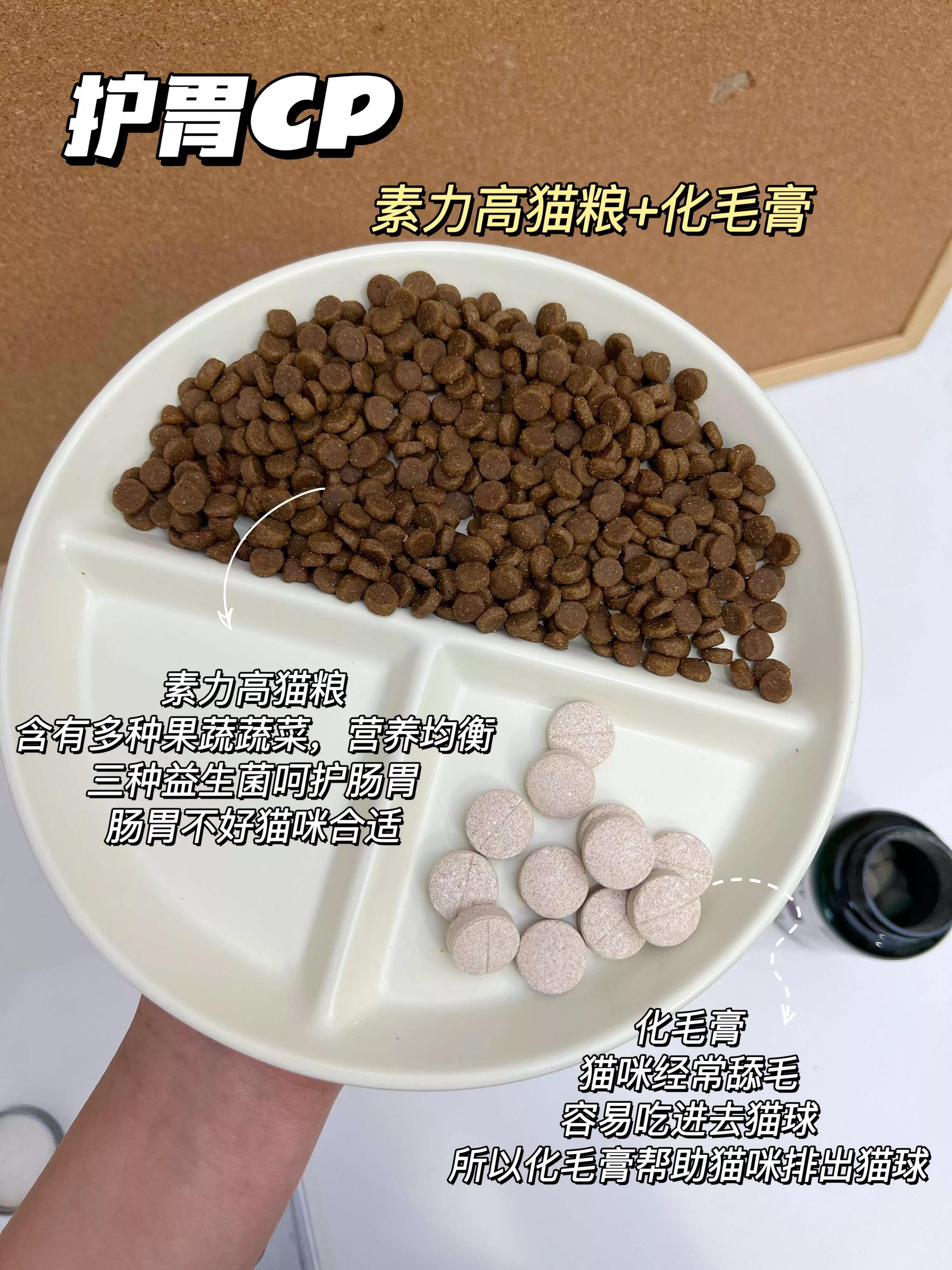 拒绝猫粮当主食,新手养猫指南猫粮应该怎么选