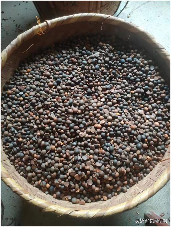 江西赣方言与普通话,江西赣语方言展示