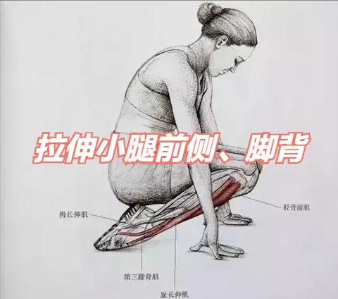 动态打坐与静态打坐,打坐养生练习的基本认识