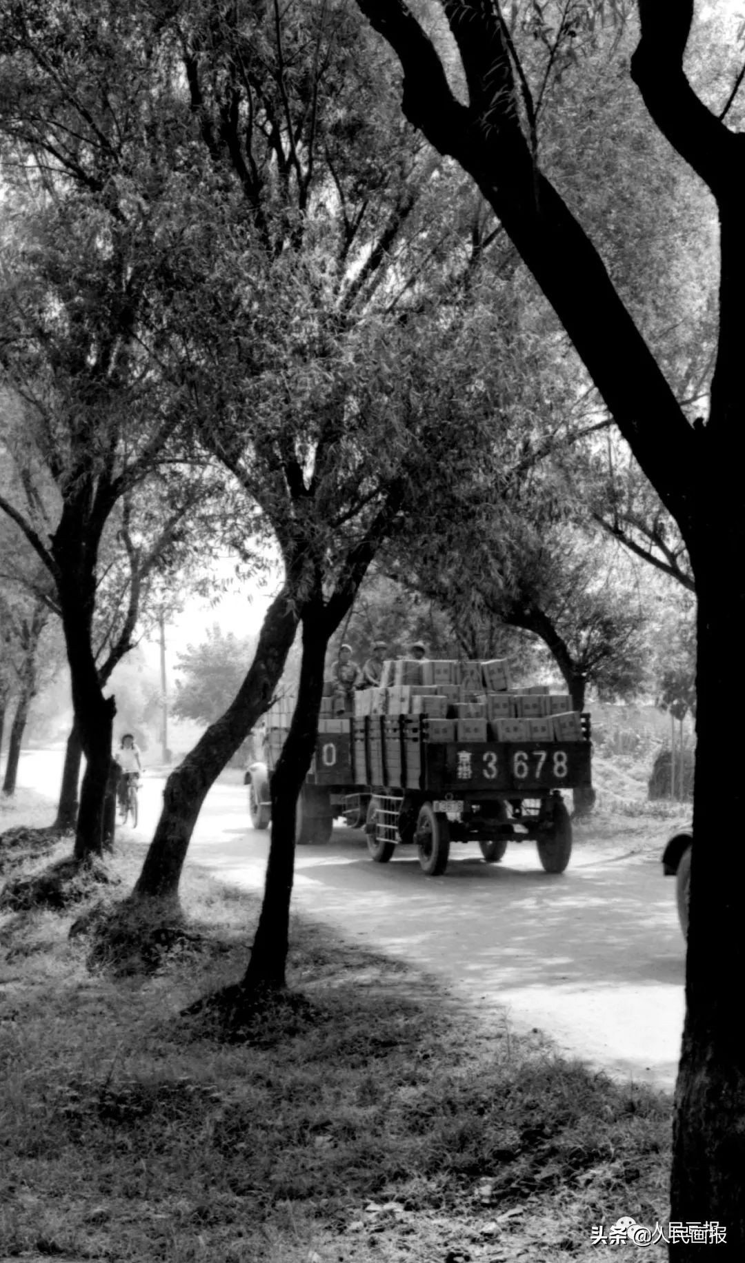 危急时刻他们筑牢生命屏障,守护群众安全他们冲在抗洪一线