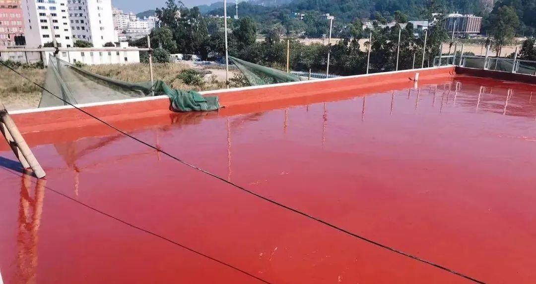 绍兴房屋漏水维修卫生间防水补漏,房屋漏水怎么补漏最快最有效