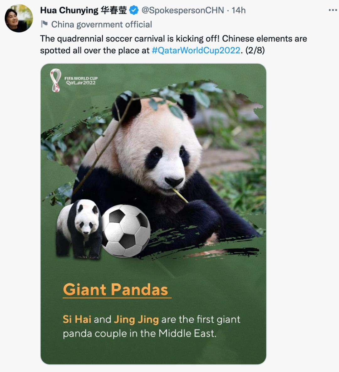 世界杯中国元素视频,“中国元素”闪耀世界杯