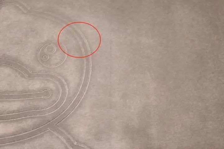 硅藻泥地垫爆款榜素材,硅藻泥地垫好评评语