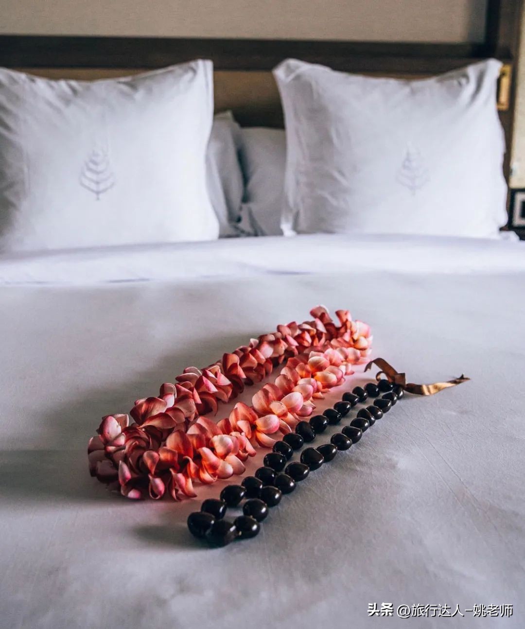 夏威夷的活火山喷发,夏威夷火山喷发大岛还能旅游吗