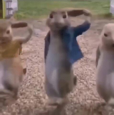 成都的人现在都在玩什么,最近成都人在玩什么