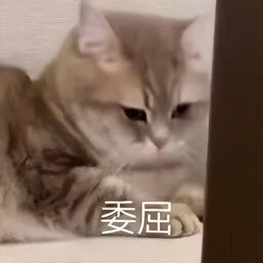 用酒店的毛巾也会感染HPV