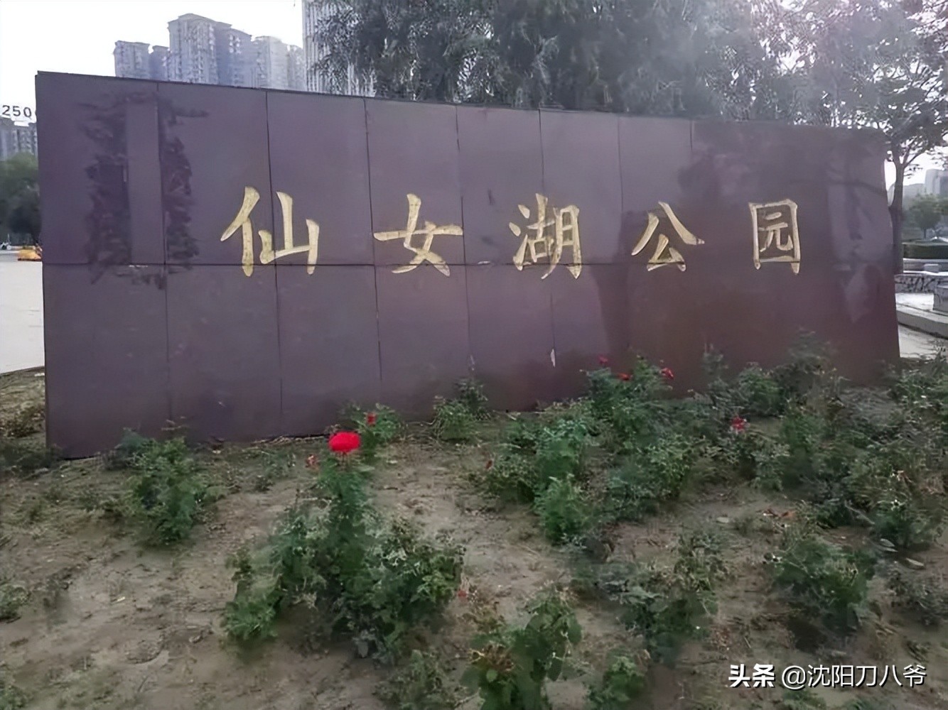 沈阳地铁7号线最新信息表,沈阳地铁四期规划7号线