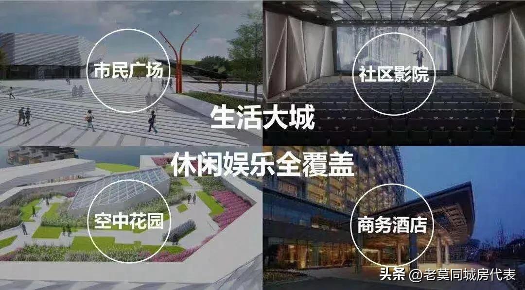 保利房子首付98万,保利资金链问题