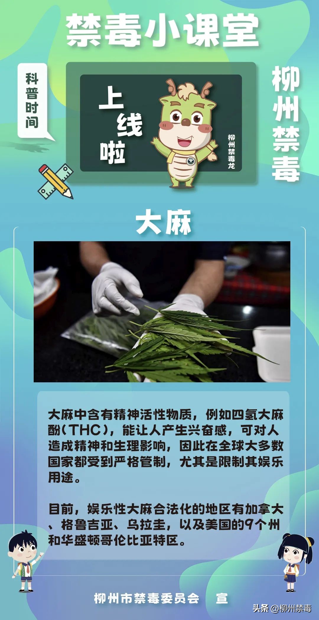 泰国现在大麻合法化旅游安全吗,泰国旅游大麻合法化如何规避