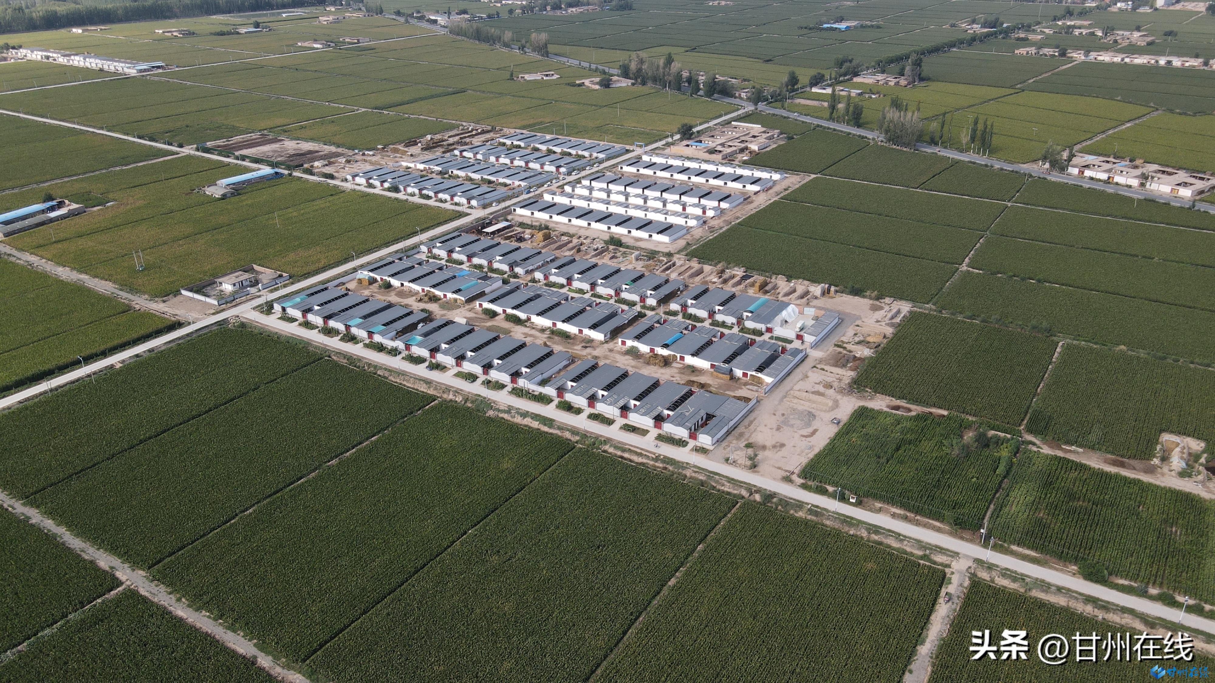 「抓项目扩投资赶进度提效能」甘州区小满镇：拆除农村老旧房屋腾退空间兴产业