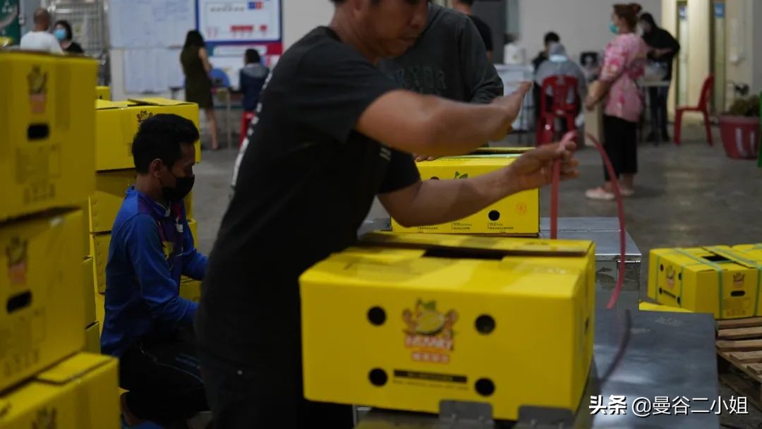 真的榴莲自由了！在泰国榴莲工厂干饭，幸福的泪水从嘴角流下来