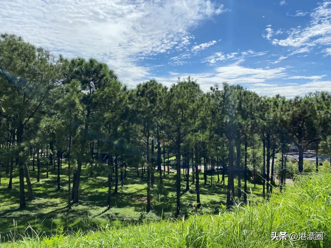 香港愉景湾值得去吗,香港愉景湾生活的优缺点