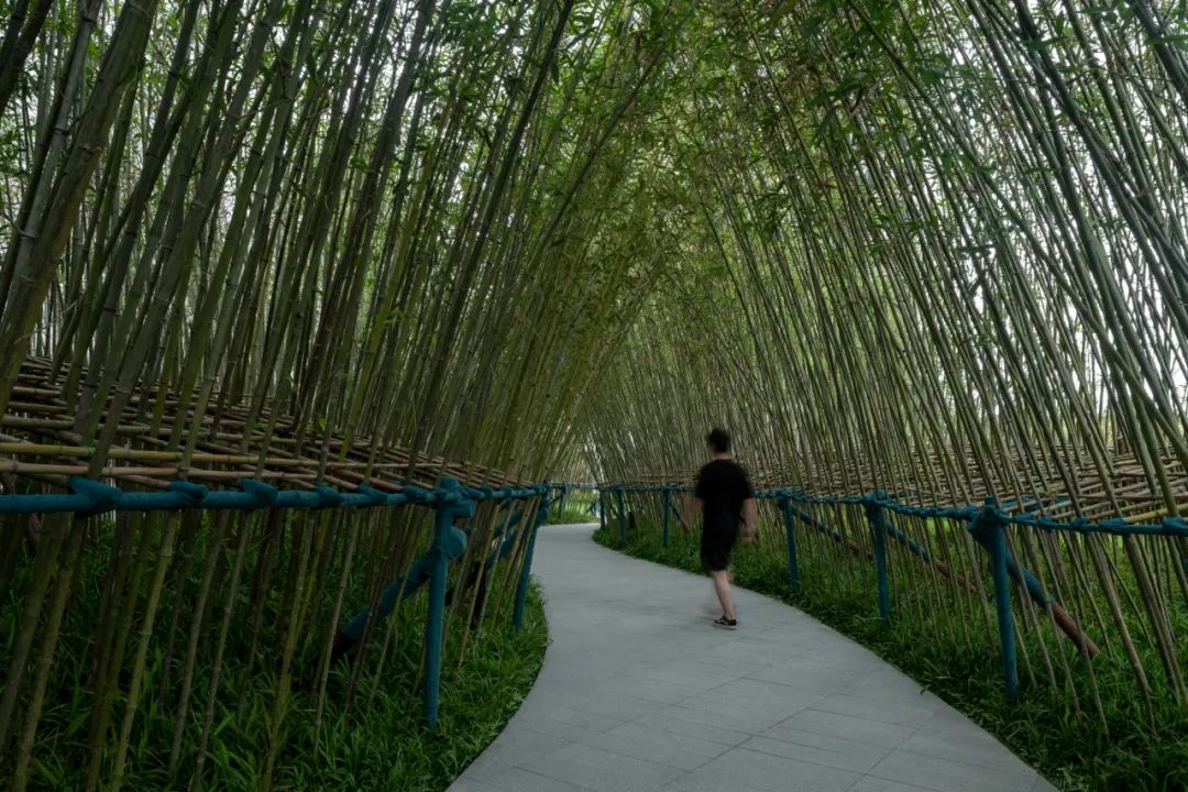 南昌望月湖金茂悦周边楼盘,南昌金茂悦环境