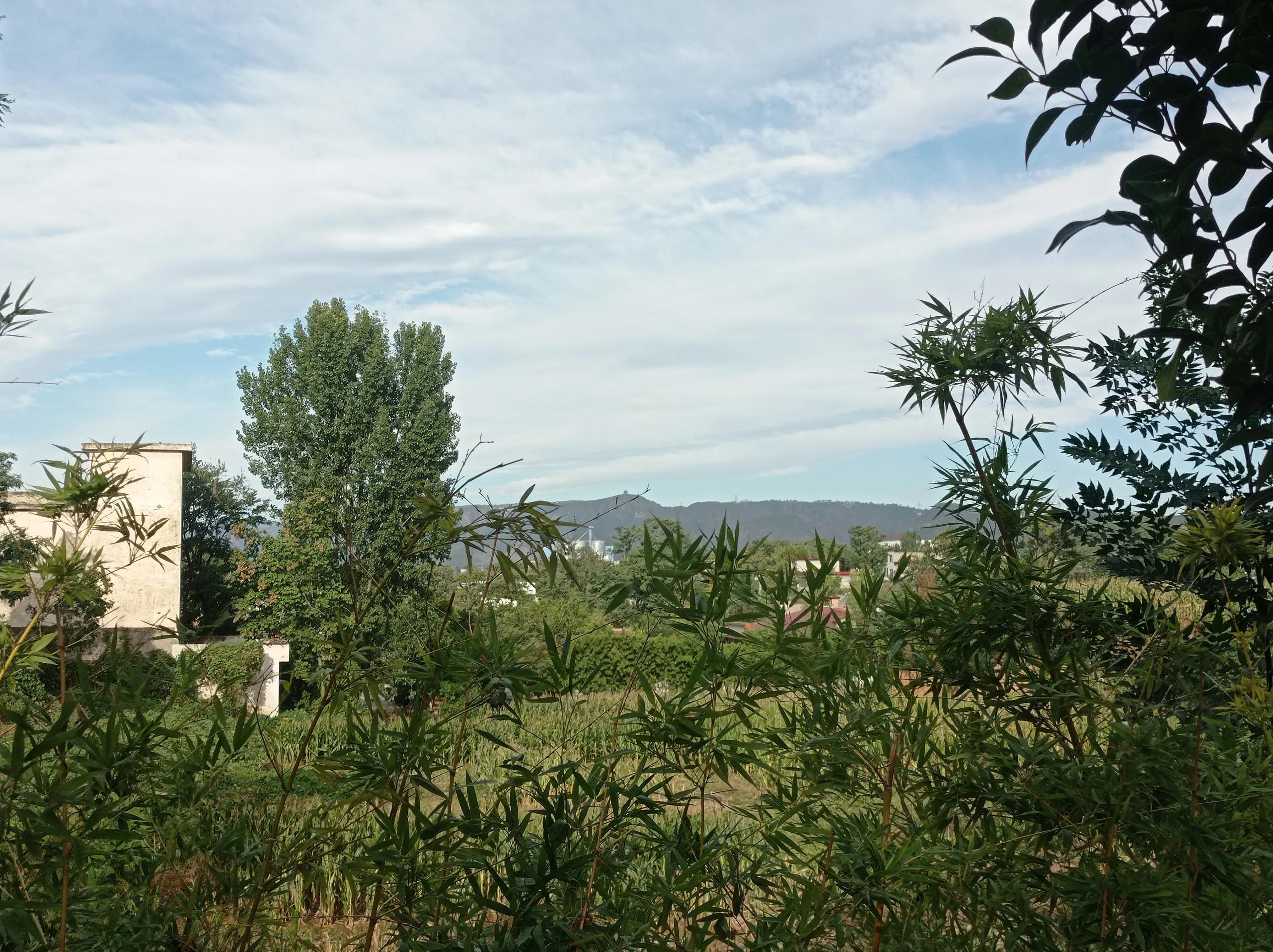 很重要的贵人该怎么相处,人生中这样的贵人你遇到了吗