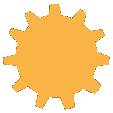 中山体育中考什么时候考,中山体育中考